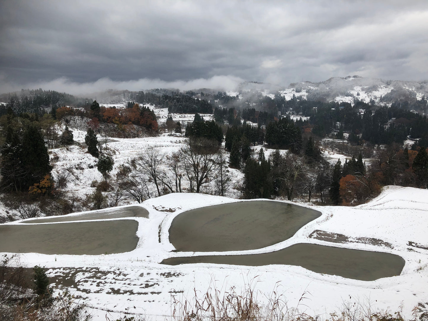 【数量限定】魚沼産の完全無農薬「蒲生の棚田米あかとき」2kg【白米】
