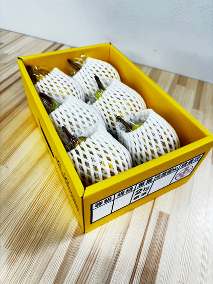 2kg（5個～7個）新潟県南区産のル・レクチェ【贈答用】